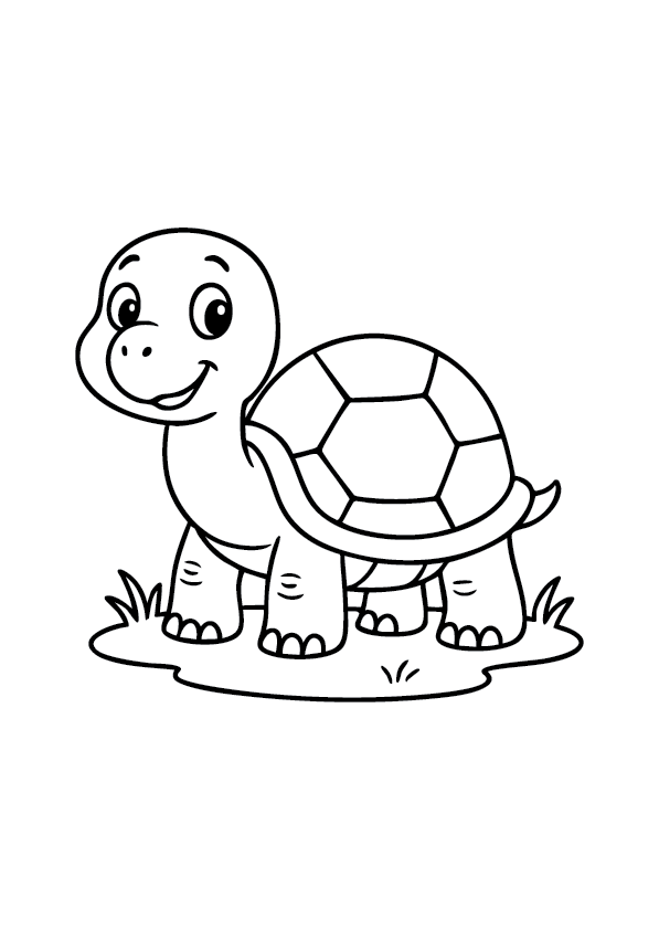 Cute Tortoise Coloring Page